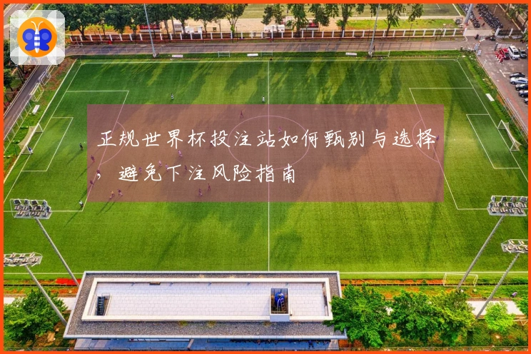 正规世界杯投注站如何甄别与选择，避免下注风险指南
