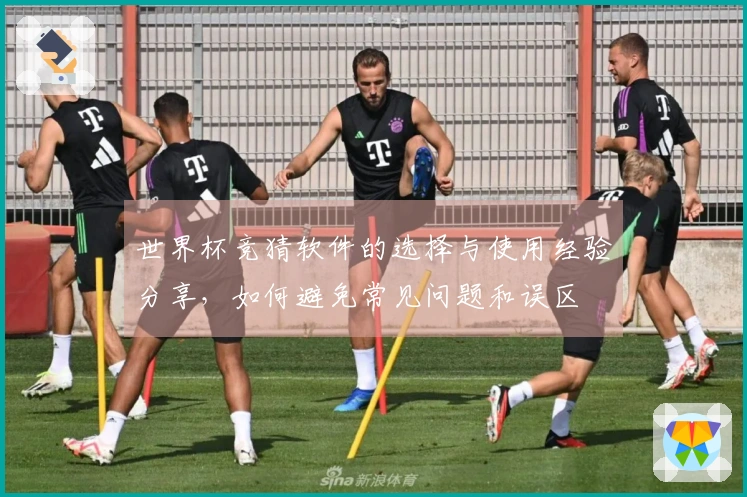 世界杯竞猜软件的选择与使用经验分享，如何避免常见问题和误区