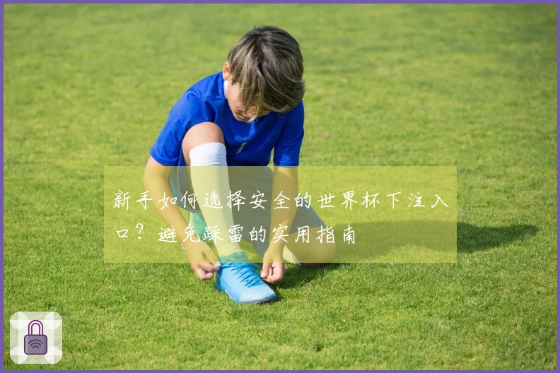 新手如何选择安全的世界杯下注入口？避免踩雷的实用指南