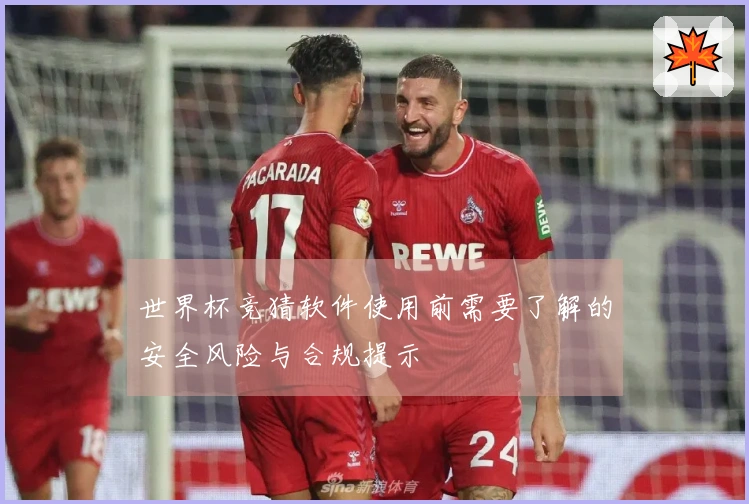 世界杯竞猜软件使用前需要了解的安全风险与合规提示