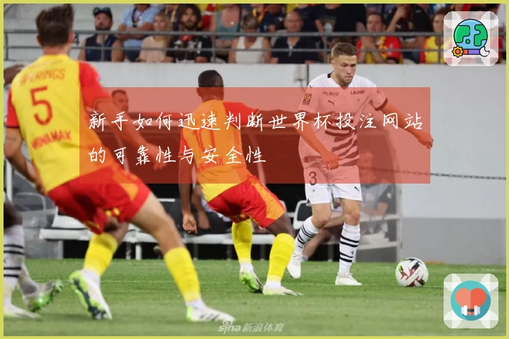 新手如何迅速判断世界杯投注网站的可靠性与安全性