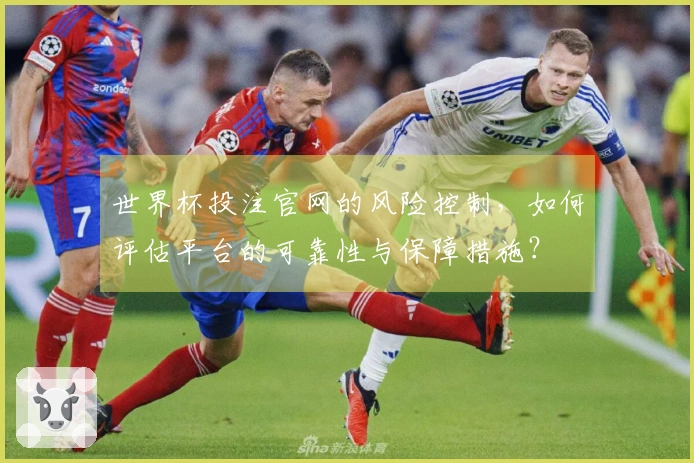 世界杯投注官网的风险控制，如何评估平台的可靠性与保障措施？