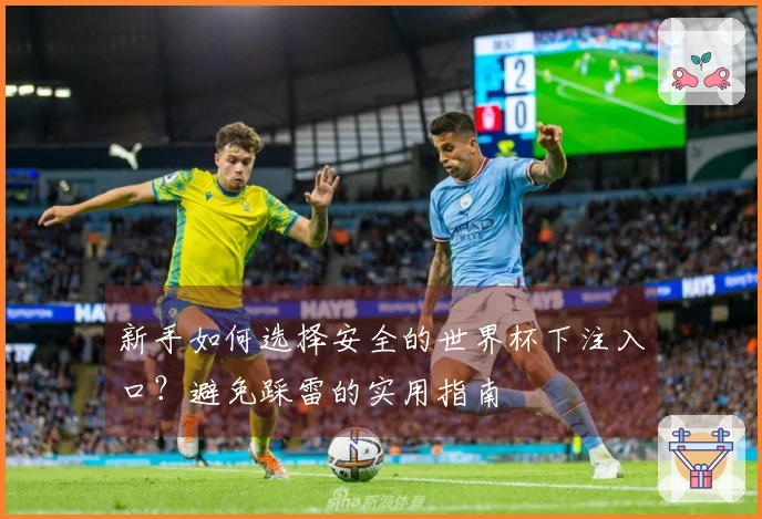 新手如何选择安全的世界杯下注入口？避免踩雷的实用指南