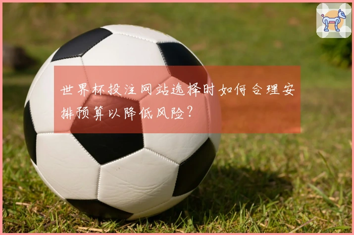 世界杯投注网站选择时如何合理安排预算以降低风险？