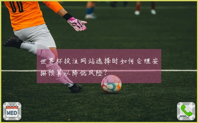 世界杯投注网站选择时如何合理安排预算以降低风险？