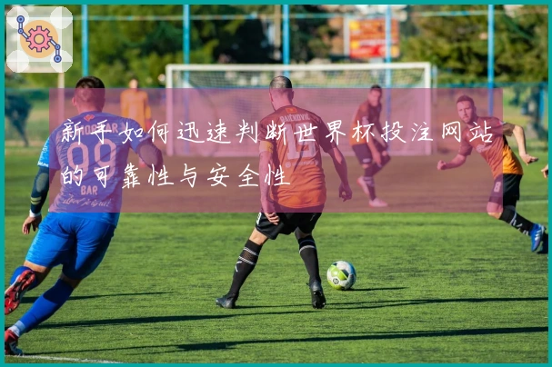 新手如何迅速判断世界杯投注网站的可靠性与安全性
