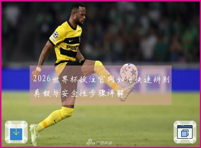 2026世界杯投注官网如何快速辨别真假与安全性步骤详解