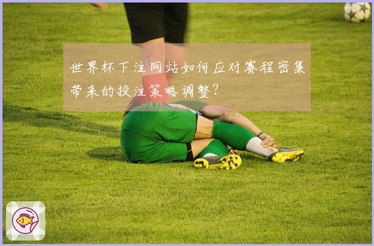 世界杯下注网站如何应对赛程密集带来的投注策略调整？