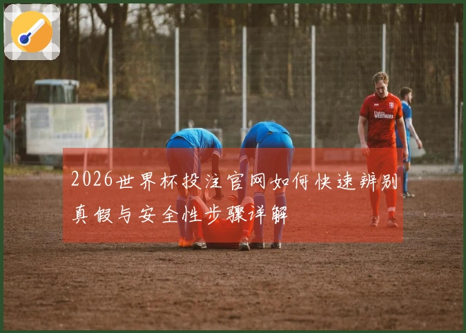 2026世界杯投注官网如何快速辨别真假与安全性步骤详解