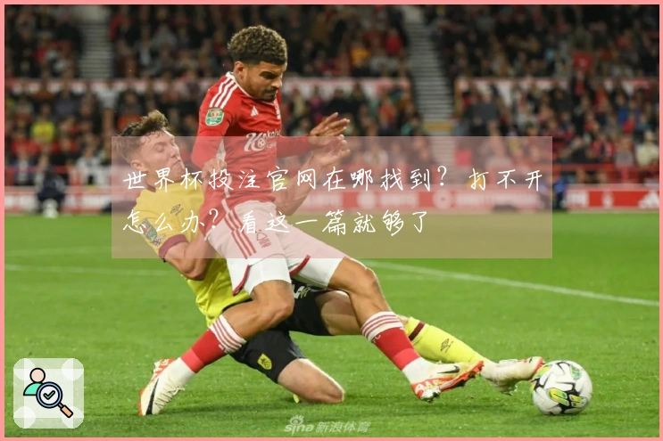 世界杯投注官网在哪找到？打不开怎么办？看这一篇就够了