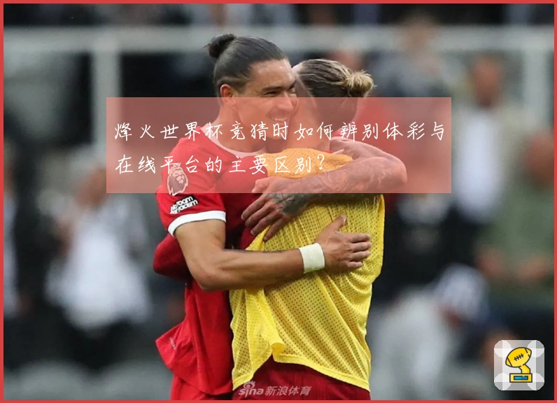 烽火世界杯竞猜时如何辨别体彩与在线平台的主要区别？