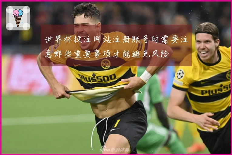 世界杯投注网站注册账号时需要注意哪些重要事项才能避免风险
