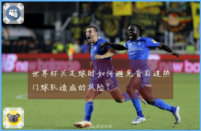 世界杯买足球时如何避免盲目追热门球队造成的风险？