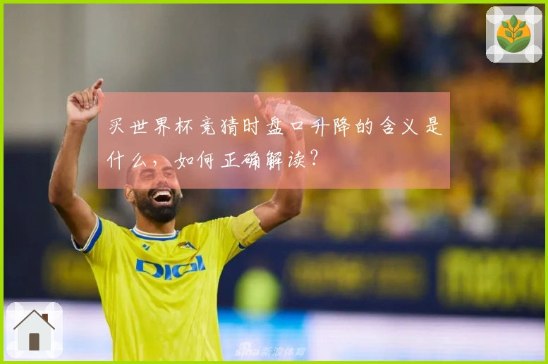 买世界杯竞猜时盘口升降的含义是什么，如何正确解读？
